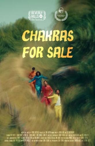 Chakras For Sale (2024)