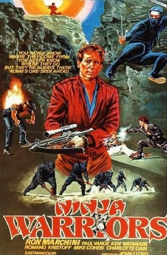 Ninja Warriors (1985)