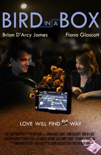 Bird in a Box (2012)