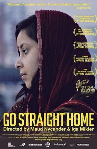 Go Straight Home (2013)