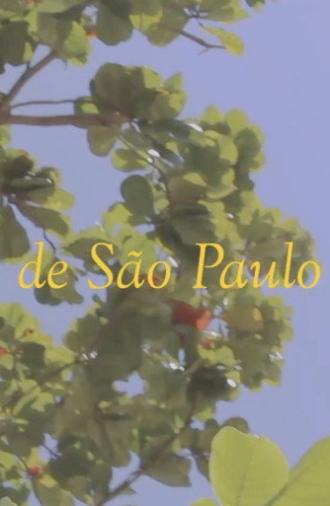 News from São Paulo (2019)