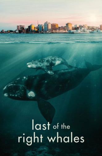 Last of the Right Whales (2021)