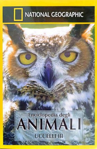 Owls: Silent Hunters (2001)