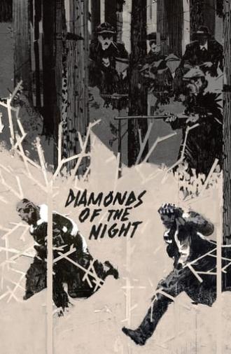 Diamonds of the Night (1964)