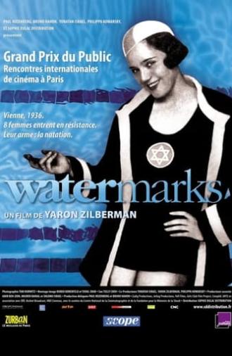 Watermarks (2004)