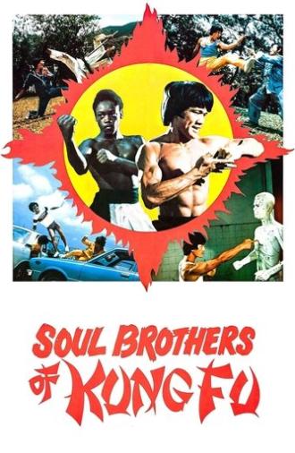 Soul Brothers of Kung Fu (1977)