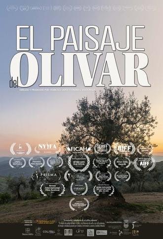 El paisaje del olivar (2024)