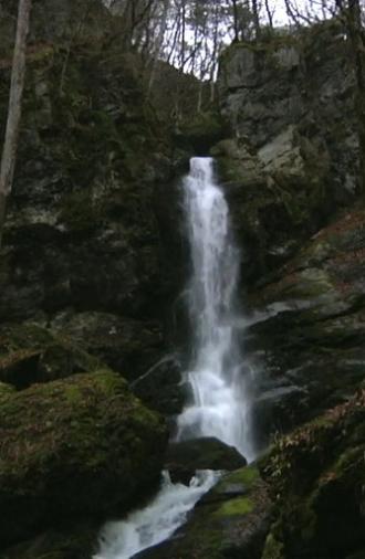 Falling Water, Scattered Scenery (2010)