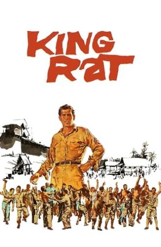 King Rat (1965)