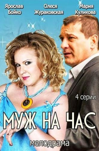 Husband for an hour (2014)