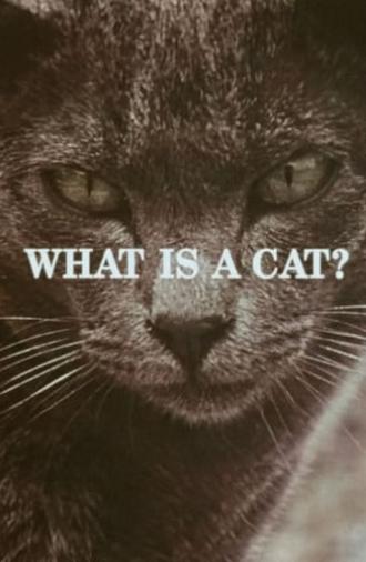 What Is a Cat? (1972)