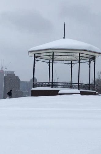 After a snowstorm (2023)