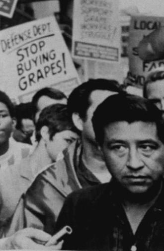 Stop Buying Grapes (1982)