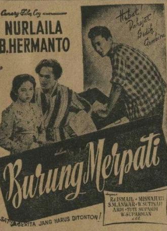 Burung Merpati (1954)