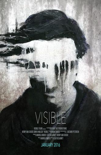 Visible (2016)