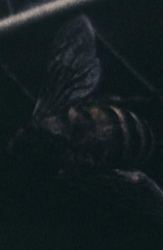 Morte all'orecchio di Van Gogh (1968)