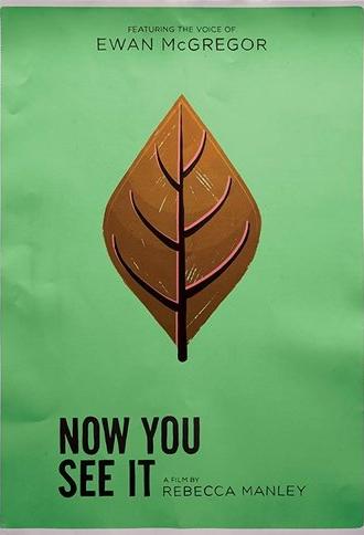 Now You See It (2017)