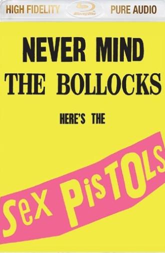 Sex Pistols:  Never Mind The Bollocks Here's The Sex Pistols (2013)