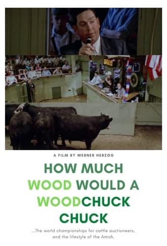 How Much Wood Would a Woodchuck Chuck (1976)