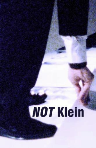 Mike Bidlo: NOT Klein (1985)