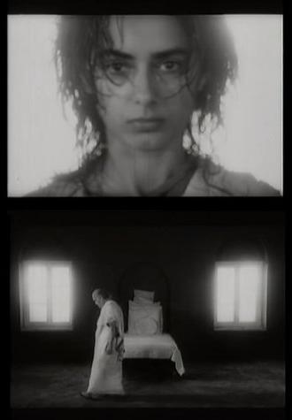 The Wisdom Tree (1985)