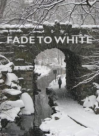 Fade to White (2014)