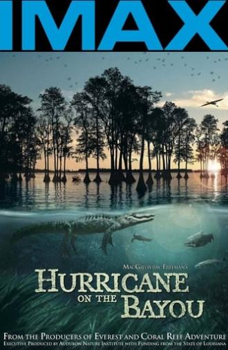 Hurricane on the Bayou (2006)