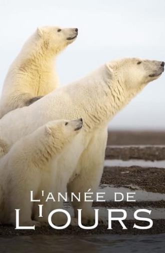 L'Année de l'ours (2024)