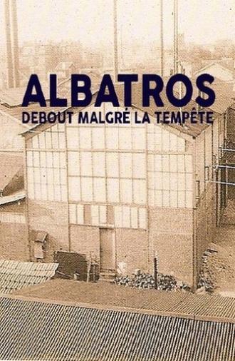Albatros, debout malgré la tempête (2010)