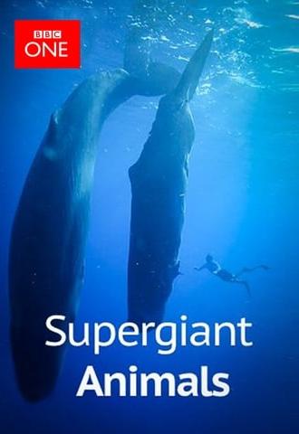 Supergiant Animals (2013)