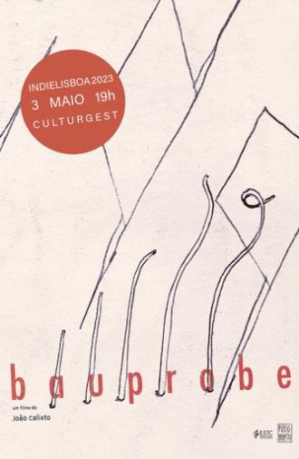 BAUPROBE (2023)