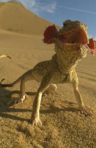 Planet of the Reptiles (2017)