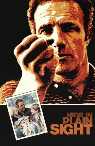 Hide in Plain Sight (1980)