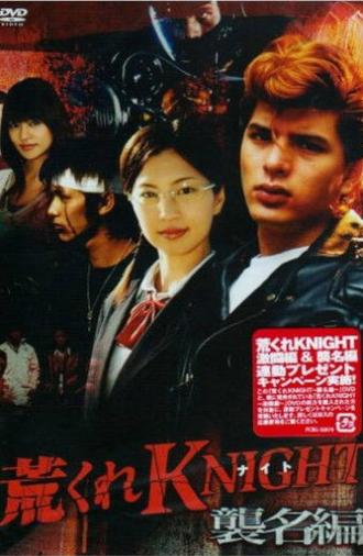 Wild Knight: Succession Arc (2007)