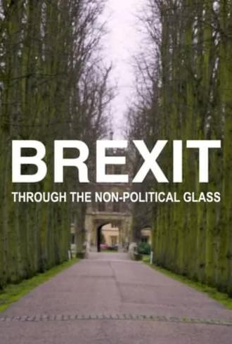 Brexit Through the Non-political Glass (2021)