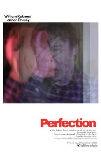 Perfection (2026)