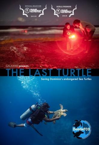 The Last Turtle (2019)