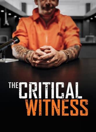 The Critical Witness (2021)