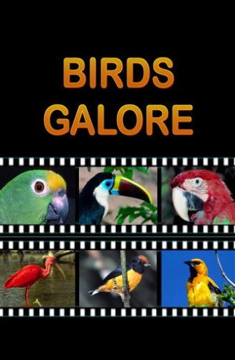 Birds Galore (2012)