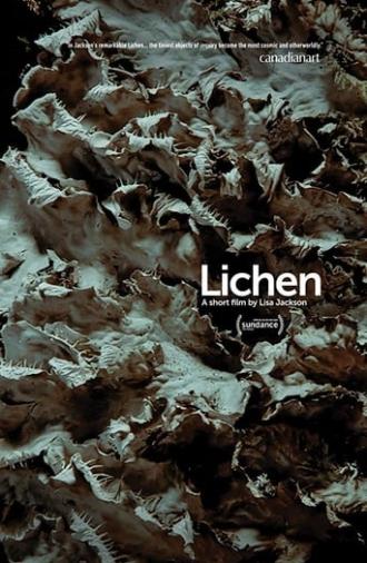 Lichen (2019)