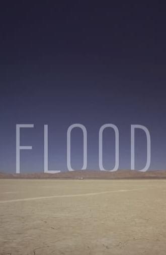 Flood (2012)