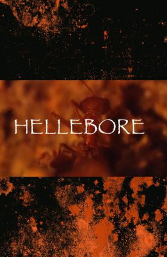 Hellebore (2026)