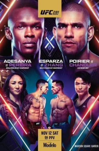 UFC 281: Adesanya vs. Pereira (2022)