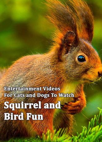 Squirrel and Bird Fun (2014)
