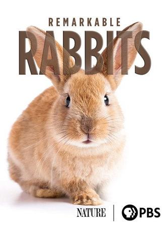Remarkable Rabbits (2020)
