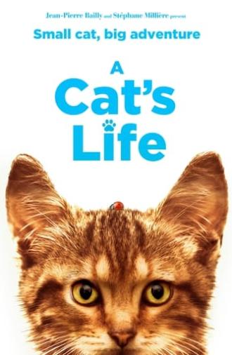 A Cat's Life (2023)