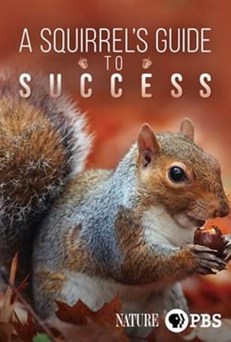 A Squirrel's Guide to Success (2018)