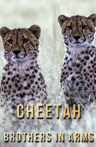 Cheetah Brothers in Arms (2020)