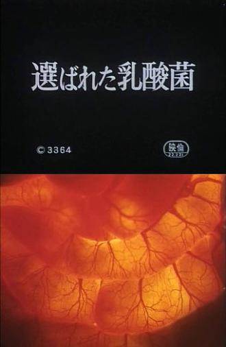 Selected Lactobacillus Strain Shirota (1965)