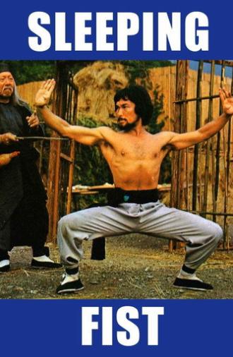 Sleeping Fist (1979)